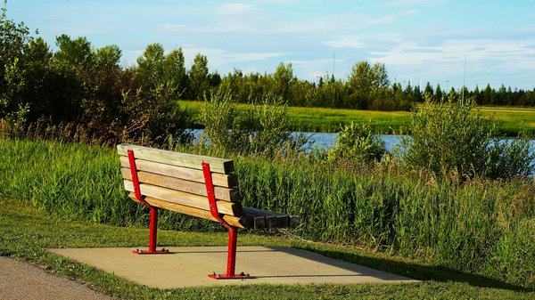 Le guide essentiel pour atteindre un bien-être optimal